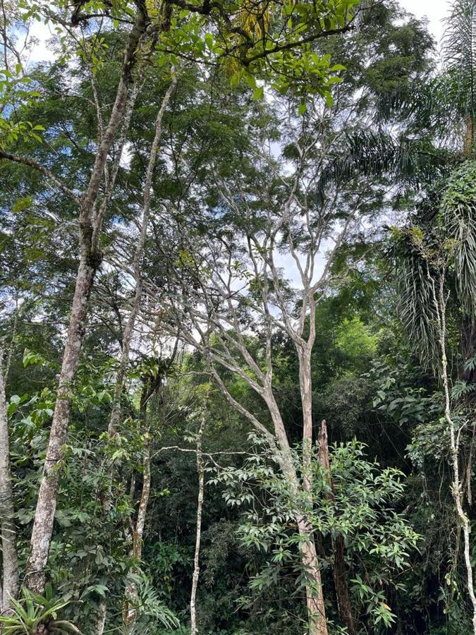Sitio Serenar Chales Equipados Penedo  Zewnętrze zdjęcie
